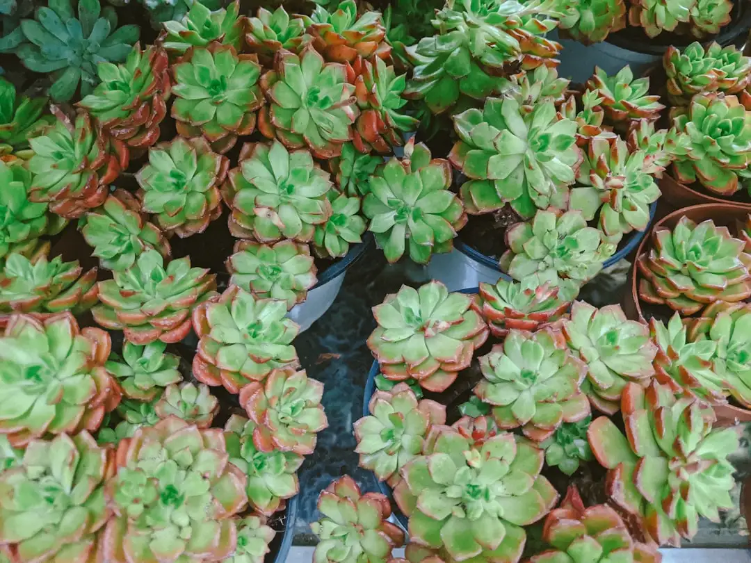 深圳智能硬件方案开发：从原型设计到量产交付的关键环节解析